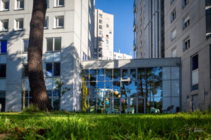 Extérieur verrière en plein coeur de NAntes, donnant sur le jardin avec les pins